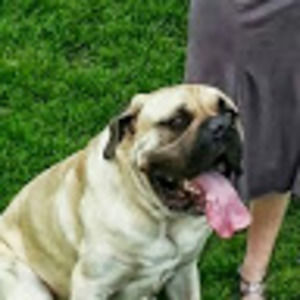 Meet your Posher, Tj